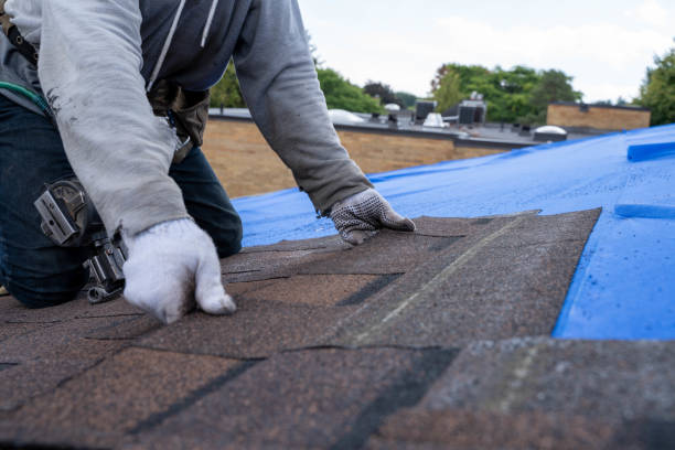 Best Commercial Roofing Services  in Polk City, IA